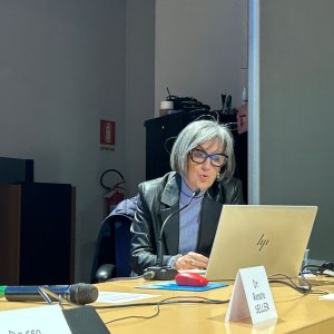 riforma disabilita 4